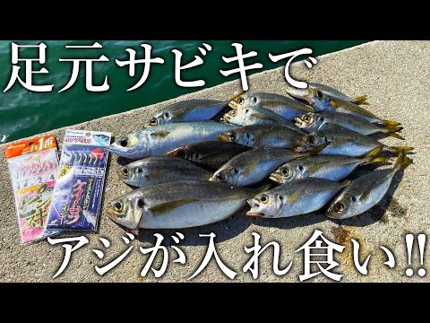 足元サビキでアジが入れ食い！連日巨大なアジが釣れる釣り公園の釣果がスゴすぎました