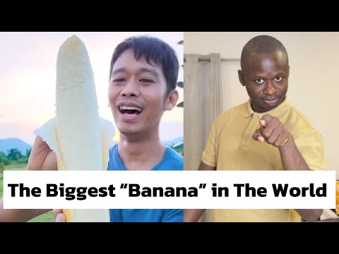 The Biggest “Banana” in The World