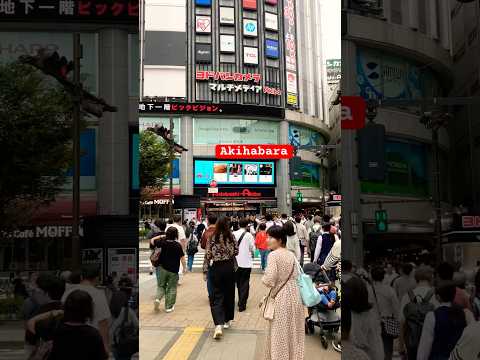 Akihabara Walking Tour || #japan #travel #japanwalk #asiantravel #walkthrough #akihabara #shorts