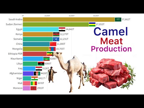 World’s Largest Camel Meat Producing Countries 1961 - 2024