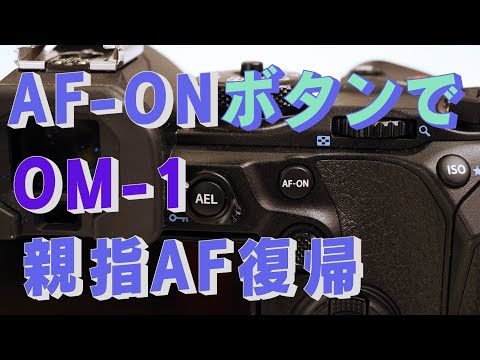 OM-1で10年ぶりに親指AF　Cocoroa通信その89