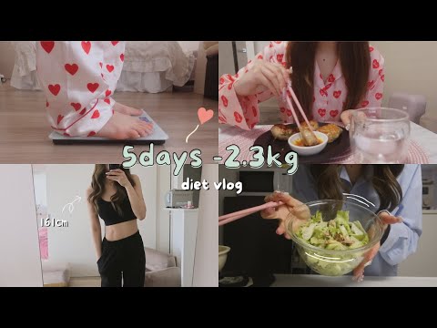 Diet ) 🔥5日間-2.3kg🔥短期ダイエットブイログ（食事vlog）