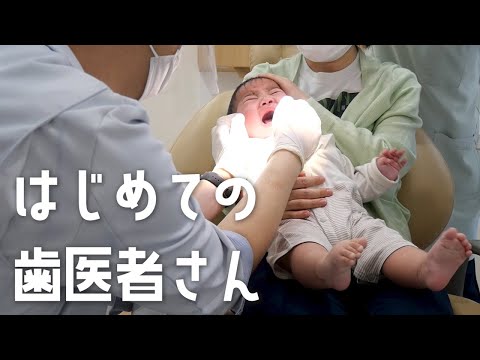 【生後7カ月】歯が生えてきたので、はじめての歯医者さんに行ってきました！