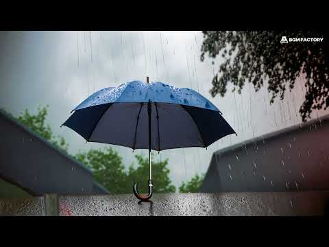 [Playlist] Tracking Tracking Rainy Day Summer Rainy Season Background Music New Album Playlist