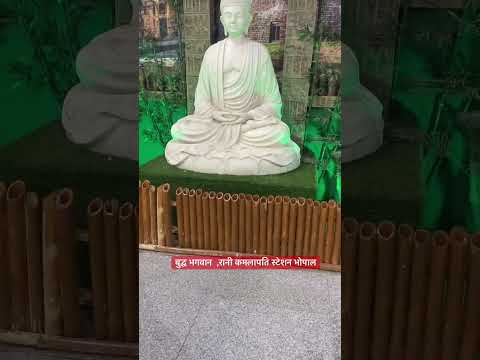 बुद्ध भगवान , रानी कमलापति रेलवे स्टेशन भोपाल#bhopalvlogs #ranikamlapatistation #buddha #bhopal