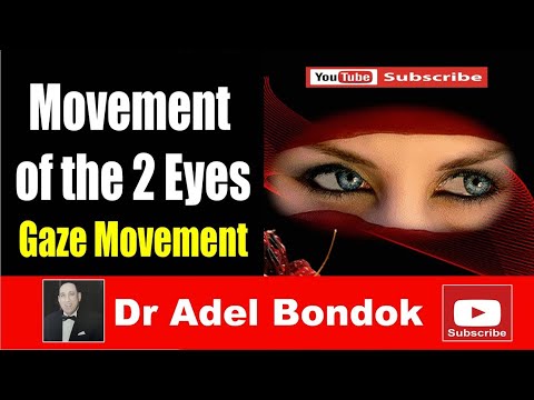 How the 2 Eyes Move Together, Dr Adel Bondok