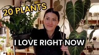 20 Plants I Love Right Now