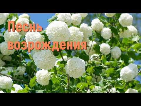 Песнь возрождения - Сборник Христианских песен #христианскиепесни #песнидлядуши #песньвозрождения