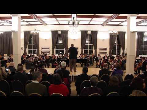 Eltham College Massed Strings: Coldplay Paradise