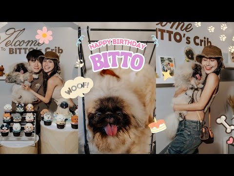 VLOG | BITTO一歲生日趴🤍 | JESTINNA