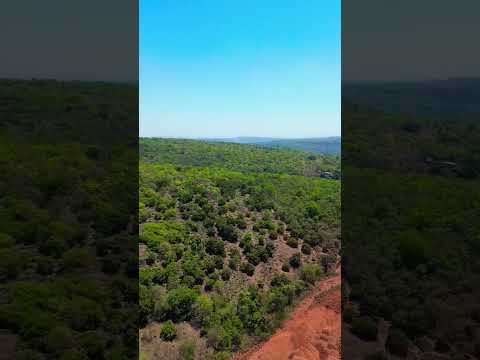 kokan beauty #kokan #dronevideo #viral #mumbaigoahighway