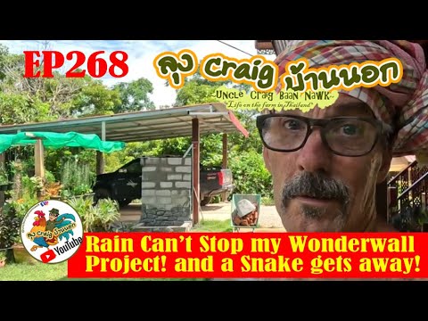 EP268 Rain Can't Stop my Wonderwall Project! and a Snake gets away!