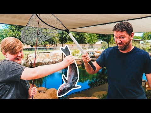 Father vs. Daughter -- who can catch the BIGGEST FISH? (backyard pond fishing challenge)