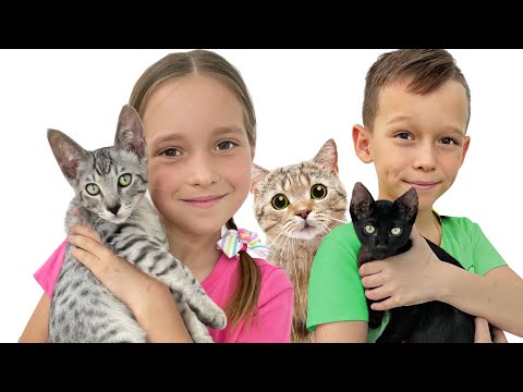 Sofia and Max play with Kittens