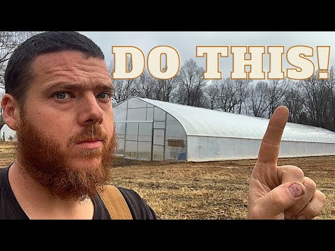 New Homesteaders: DO THIS! Biggest Piece of Advice