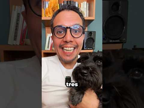 Abrazar a tu perrito tres minutos al día, puede cambiar tu energía #shorts