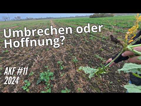 AKF #11 Raps! Umbrechen oder Hoffnung?