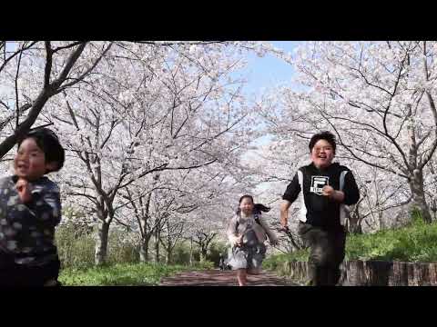 桜のトンネルとパシャリ　長崎・神の島公園