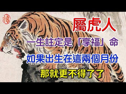 屬虎人，如果出生在這兩個月份，一生註定是「享福」命