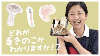 【朗読】秋といえば「食欲の秋」ということできのこ会議を読んでみました