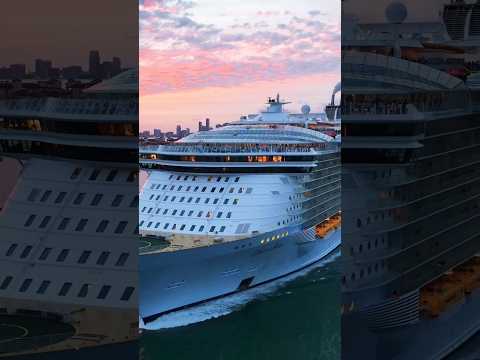 #cruise 8 #msc #fypシ゚viral #fyp #free #ocean  #travel #travelling ,#ship  #love #best #shorts #usa