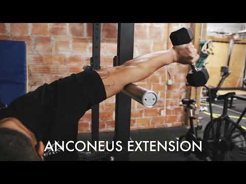 Anconeus Extension