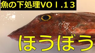 ほうぼうの下処理【野々市ひなた：公式】