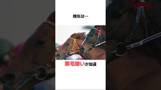 スペシャルウィークの面白い雑学#競馬