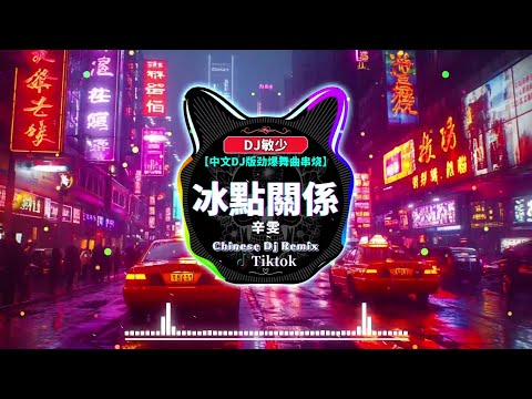 💌 最好的音樂Chinese DJ 2025【抖音DJ版合辑】抖音2025新歌『超好听』最佳 DJ 混音音乐【辛雯 - 冰點關係 ♪ 於冬然 - 能不能放過我 ♪ 情意结 - 邓岳章】