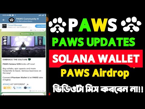 PAWS Update today ! paws  wallet connect | paws airdro plisting connect phantom wallet