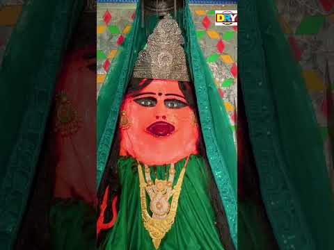 तोर दरस बर आथे | दुकालू यादव | New Jasgeet #DRYMUSIC #बेमेतराकेकालिकामईया #shorts #dukaluyadav