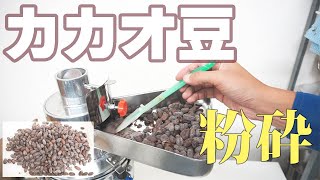 【粗く粉砕する】カカオ豆を粉砕（インバーター付きハンマーミル）