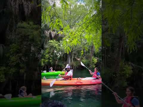 “Life's short, paddle hard silver spring #kayaking#travel#foryou#shorts#floridalife#followback