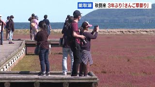 秋を迎え色づいた湖畔…３年ぶり「能取湖さんご草祭り」開催　コロナで激減した観光客が再び網走市に