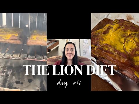 31 Day LION DIET Challenge | Day 16 Vlog & Encouragement