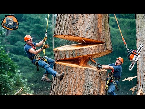 Dangerous Fastest Idiots Cutting Tree Fails Skill With Chainsaw | Heavy Equipment Fails #1