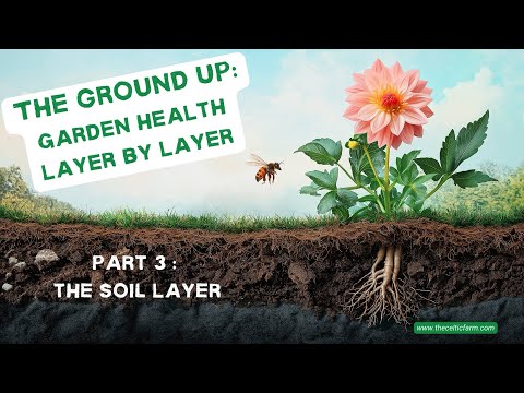 Unlock the Secret to Perfect Soil: The Key to a Thriving Garden (Ground Up Series Part 3)