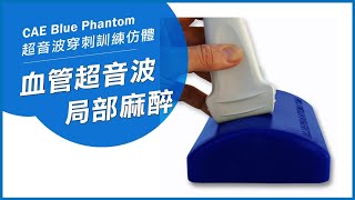 CAE Blue Phantom 血管穿刺及局部麻醉超音波訓練塊狀模型 | 局部麻醉 血管穿刺訓練