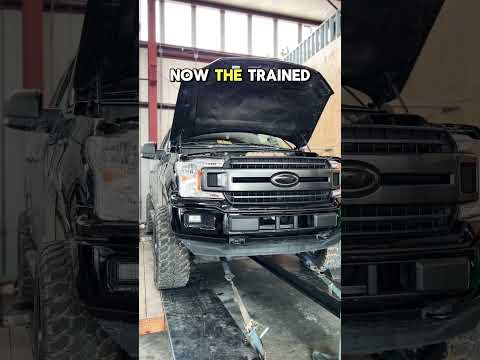 Supercharged F-150 Dyno Crank vs Wheel HP #ford #f150