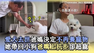 【愛犬去世爸媽決定不再養寵物 她帶回小狗爸嘴上抗拒卻超寵】｜IG / emmalee_0821