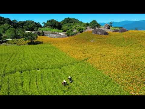 2022-六十石山&赤科山 (Drone 4K)