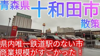 十和田市ってどんな街? 青森県で唯一鉄道駅の無い市！中心市街地の繁華街と巨大すぎる商業エリアを巡る(2024年)