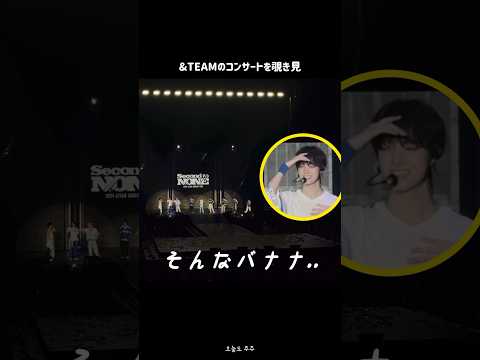 &TEAMのコンサートはこんな感じです。