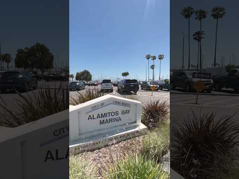 Alamitos Bay Marina 🌊 ❤️ #LongBeach #LosAngelesCounty #California #shorts