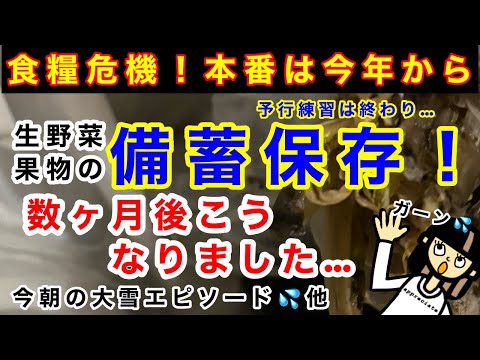 【食糧危機・備蓄保存】今年から本番です！生野菜、果物の保存！数か月後こうなりました…。予行練習は終わりです。