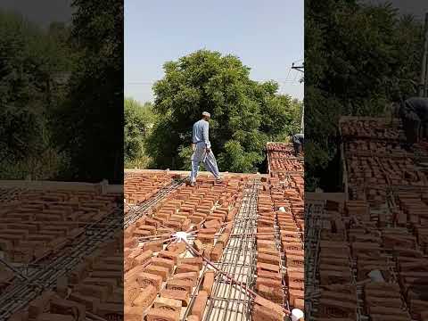 Hot day very Hard work #religion #pigeon #pigeonbreeds #beautiful #jumma #millionviews