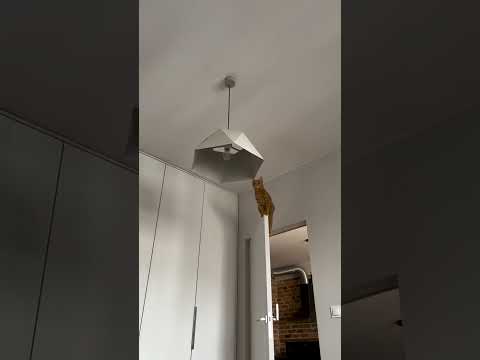 Cat Tries to Jump onto Ceiling Light from Top of Door