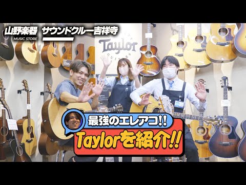 【Taylor】最強のアコギを試奏&レビュー‼︎　サウンドクルー吉祥寺