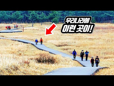 The largest sand dune trekking course in Korea