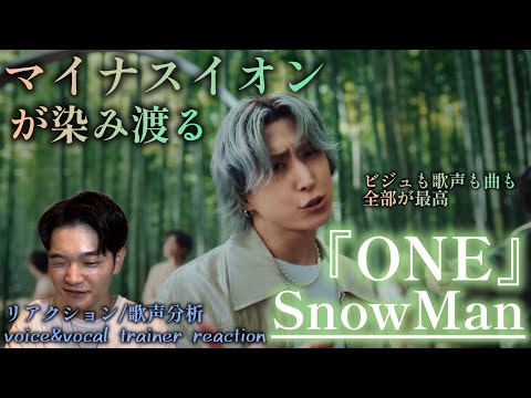 【リアクション】【歌声分析】SnowMan『ONE』 MusicVideo 壮大な大自然の世界観に心が解放される🌳